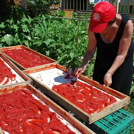 C'era Volta Piedigrotta Ferienhaus